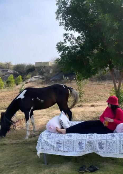 The Bagheera Bagh Jawai Hotel Bera Buitenkant foto