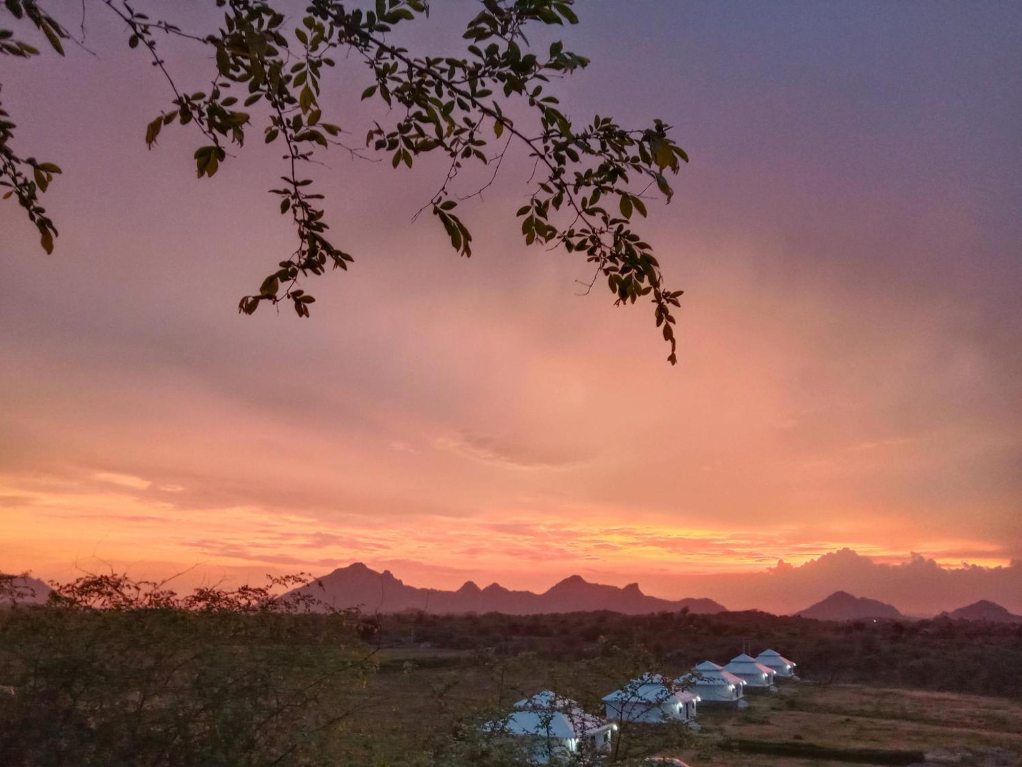 The Bagheera Bagh Jawai Hotel Bera Buitenkant foto