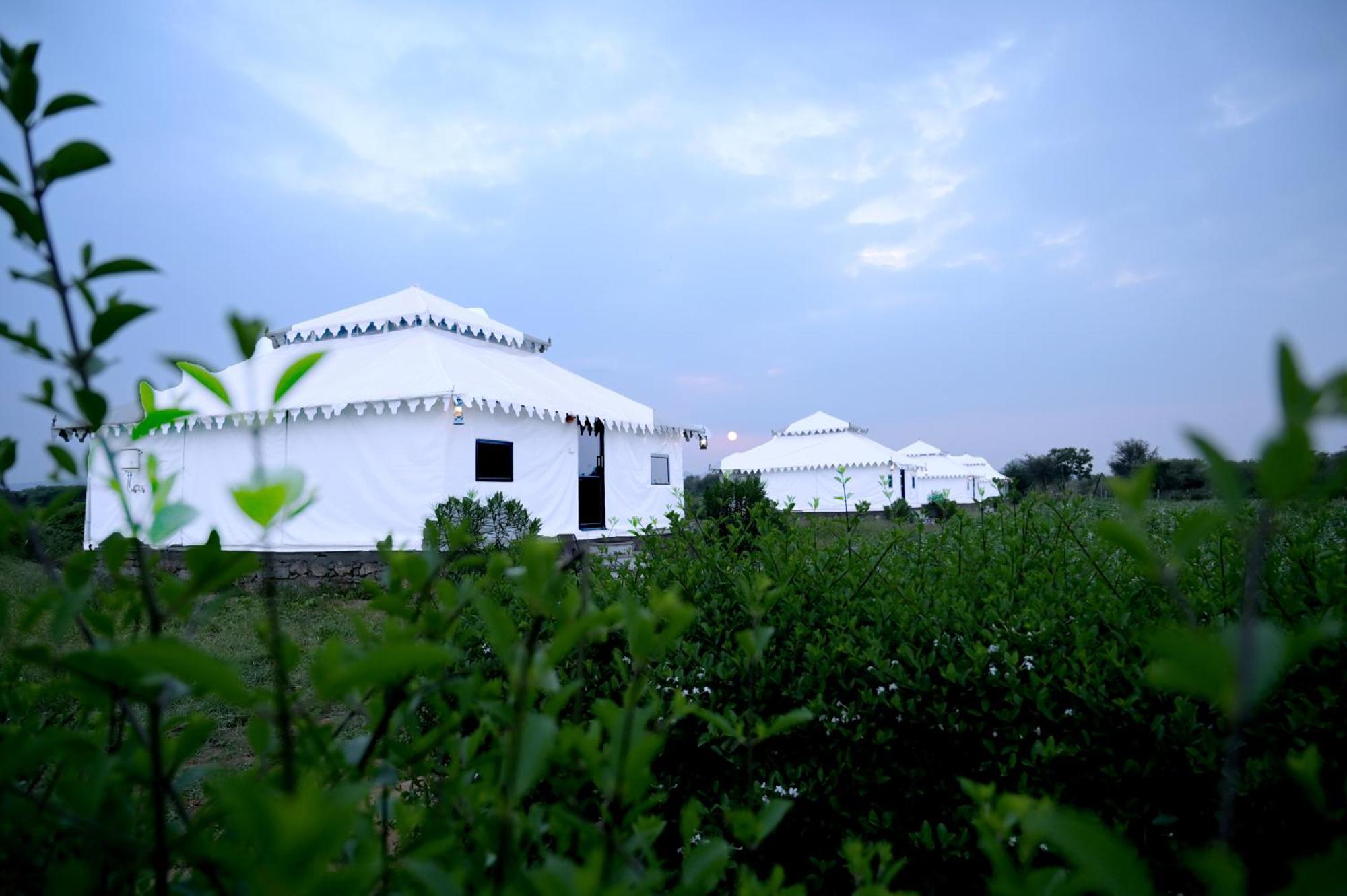 The Bagheera Bagh Jawai Hotel Bera Buitenkant foto